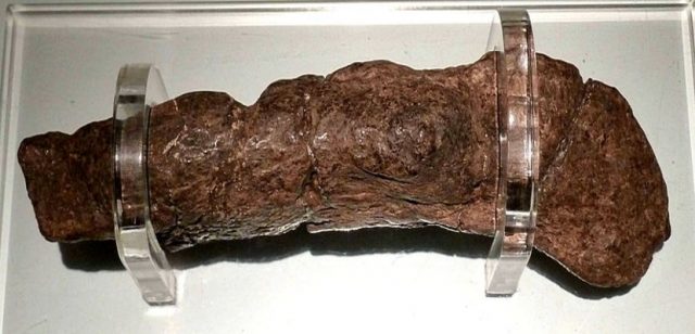 Largest Known Human Poop Is 20cm Long And Belongs To A 9th Century 