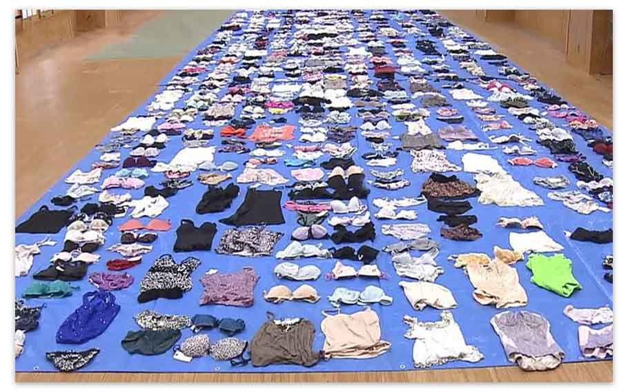 Japanese Man Arrested For Stealing 700 Pieces Of Women S Underwear Dimplify