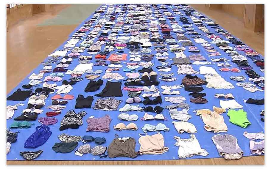 Japanese Man Arrested For Stealing 700 Pieces Of Womens Underwear Dimplify 